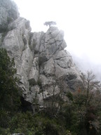 Termessos