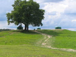 Kopuły na obiekcie 717