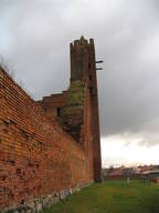 Zamek w Radzyniu Chełmińskim