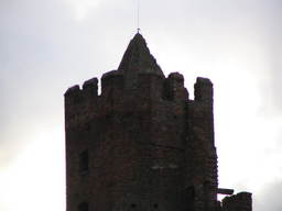 Zamek w Radzyniu Chełmińskim