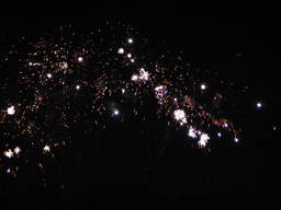 Fajerwerki nad Górą Myślęcińską