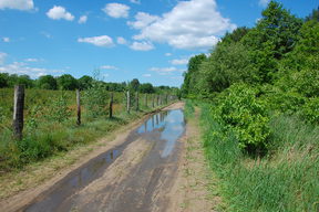 Zalana ulica Nadwarciańska.