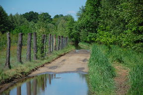 Zakana ulica Nadwarciańska.
