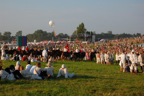Rekonstrukcja bitwy pod Grunwaldem (próba generalna).