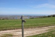 South Downs Way